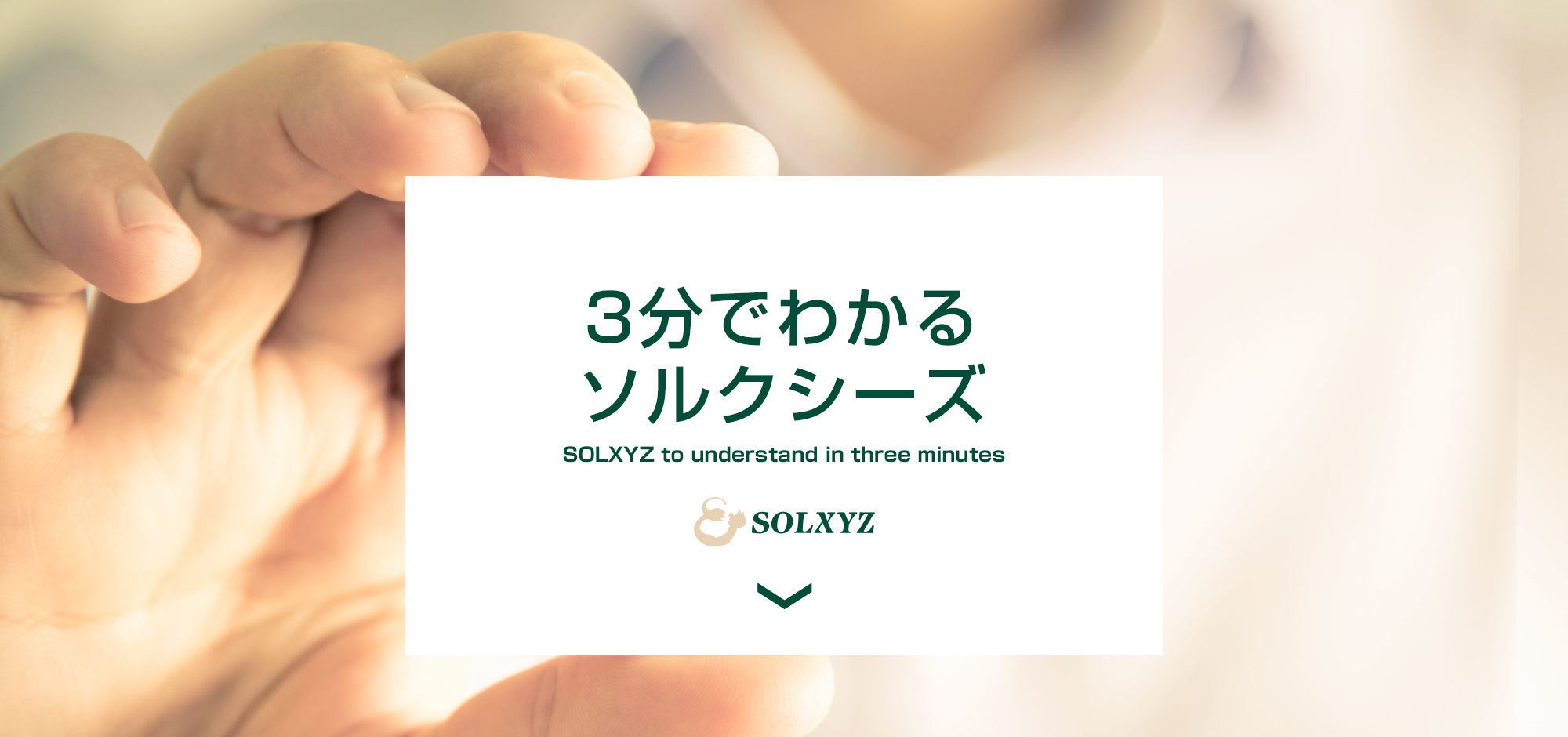 3分でわかるソルクシーズ